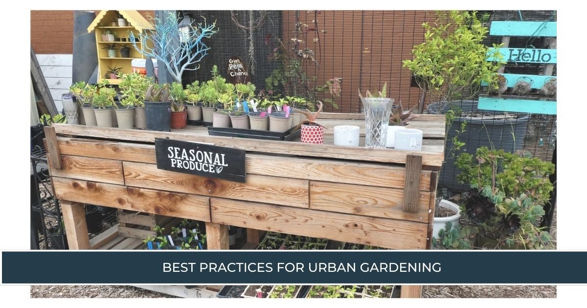 Best Practices for Urban Gardening