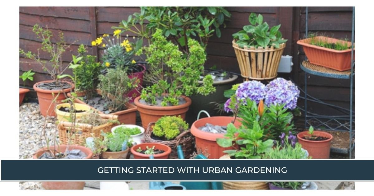 Getting Started with Urban Gardening