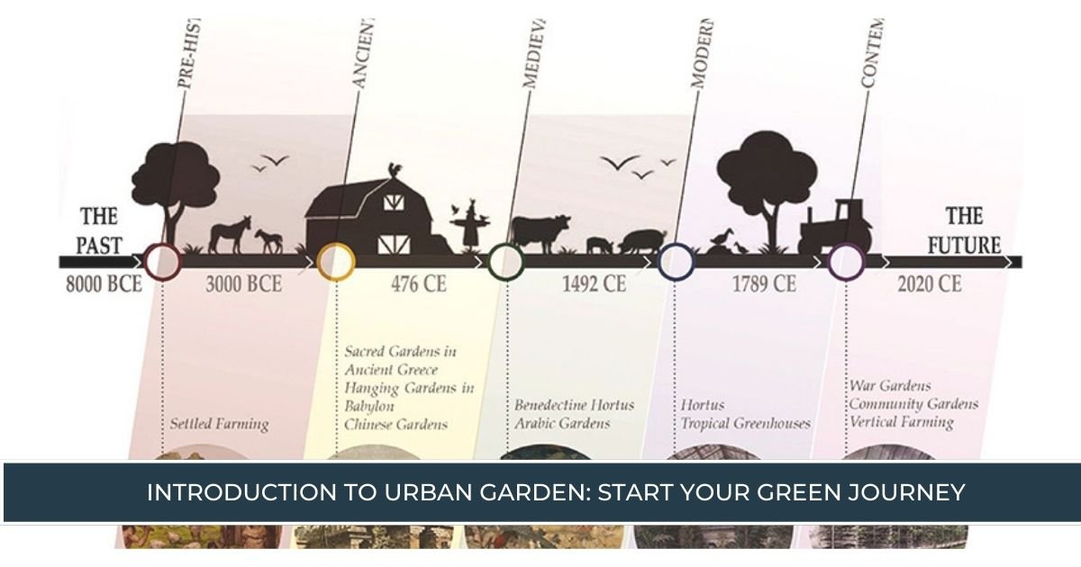 History and Evolution of Urban Gardening