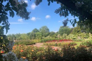 Queen Mary's Rose Gardens Photos