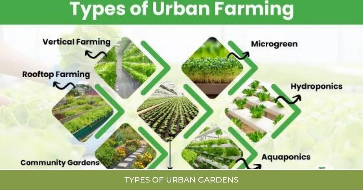 Types of Urban Gardens