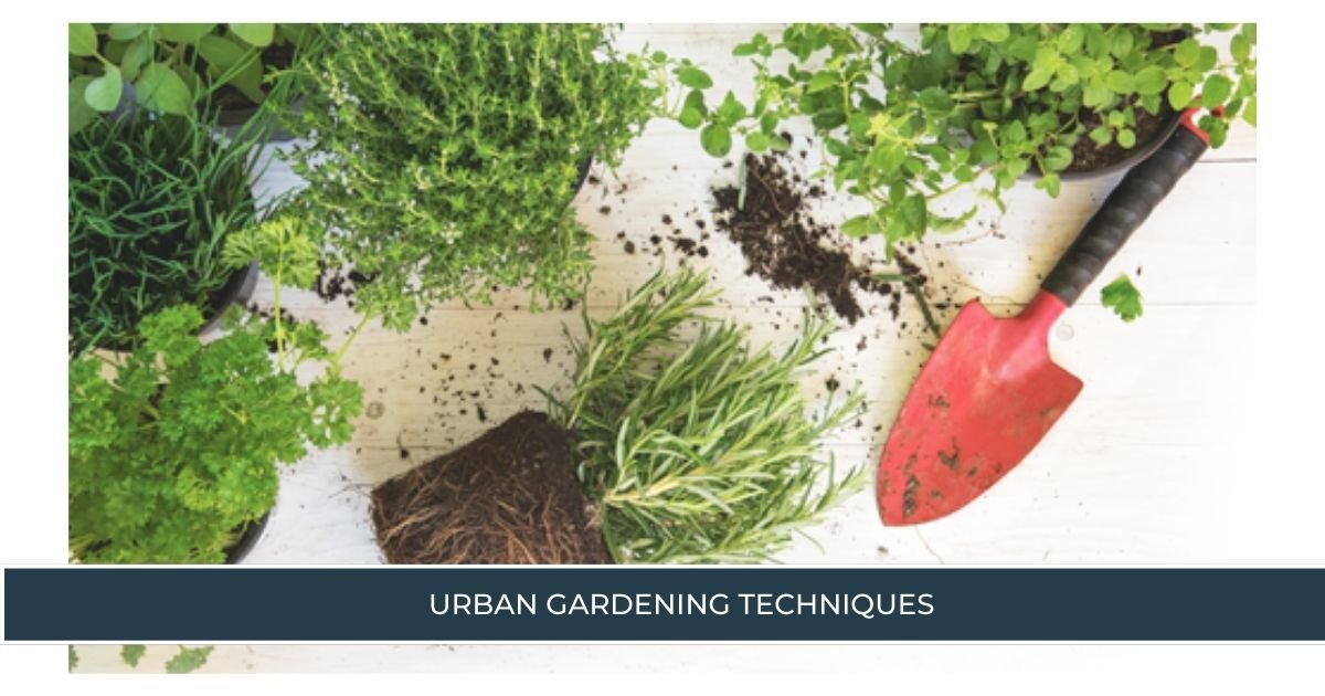 Urban Gardening Techniques