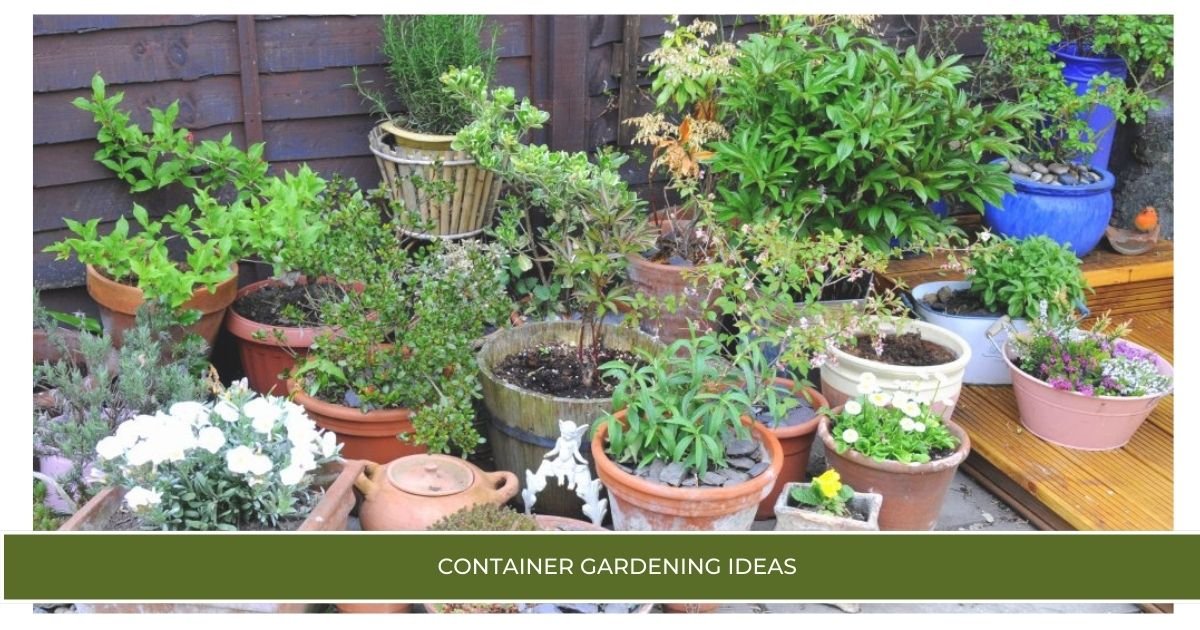 Container Gardening Ideas