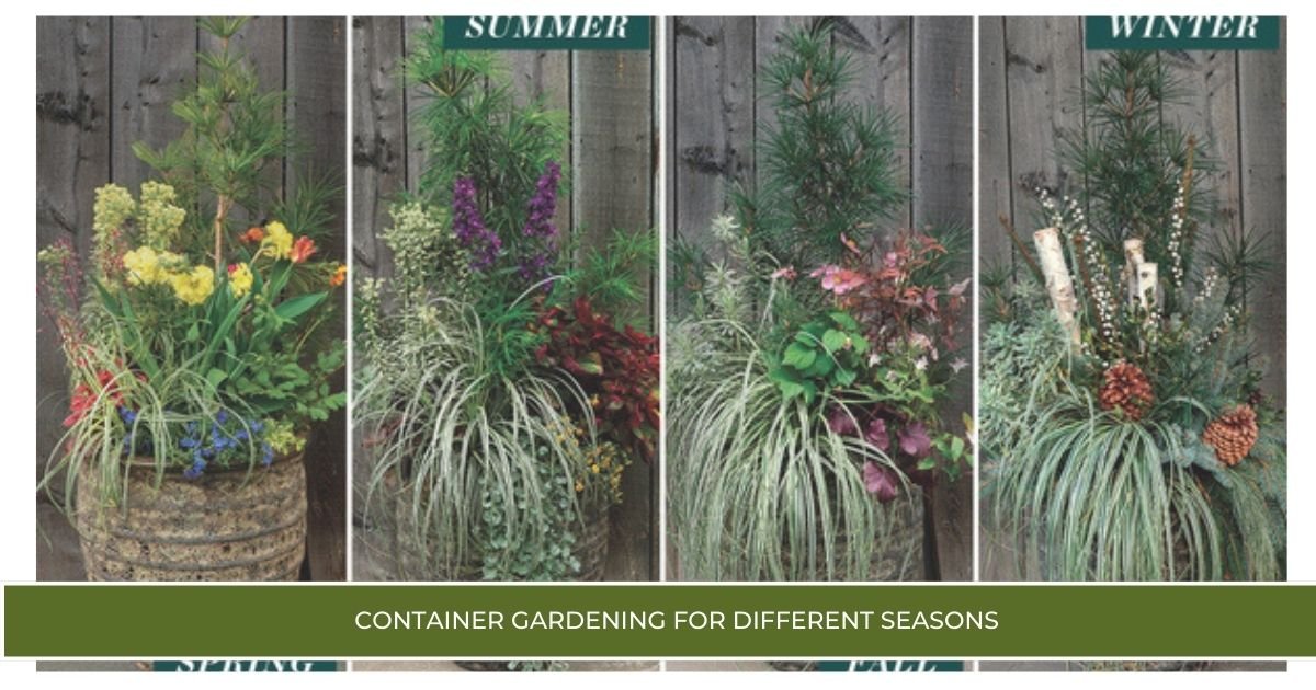 Container Gardening for Different Seasons