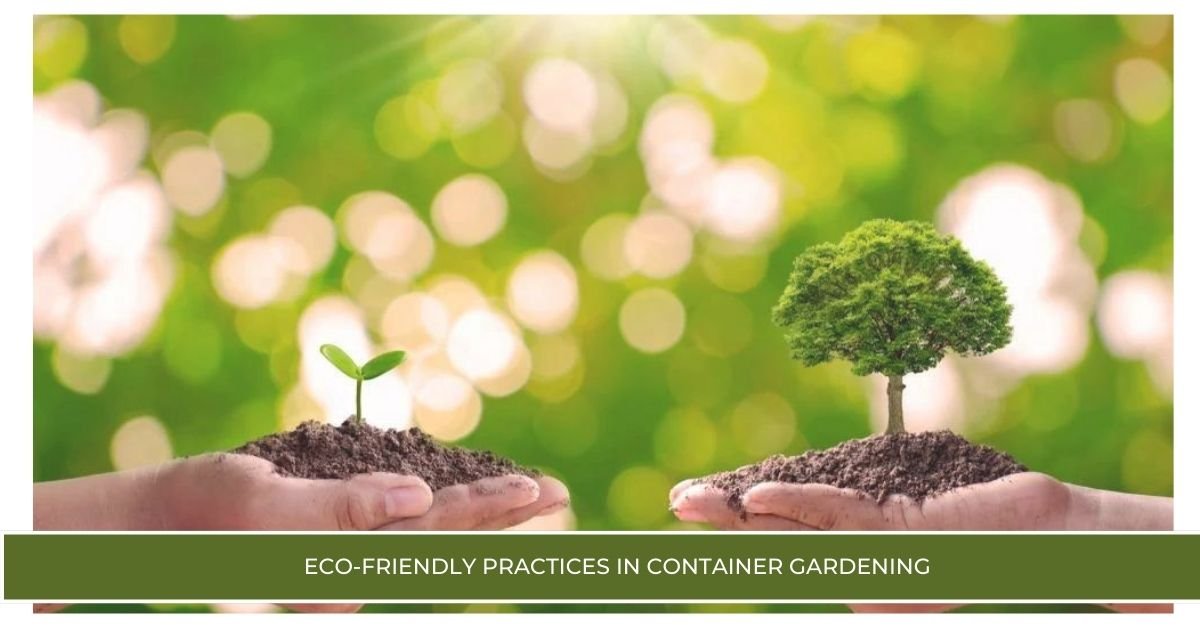 Eco-Friendly Practices in Container Gardening