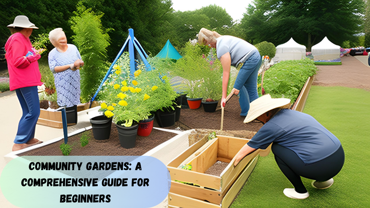 Community Gardens: A Comprehensive Guide for Beginners