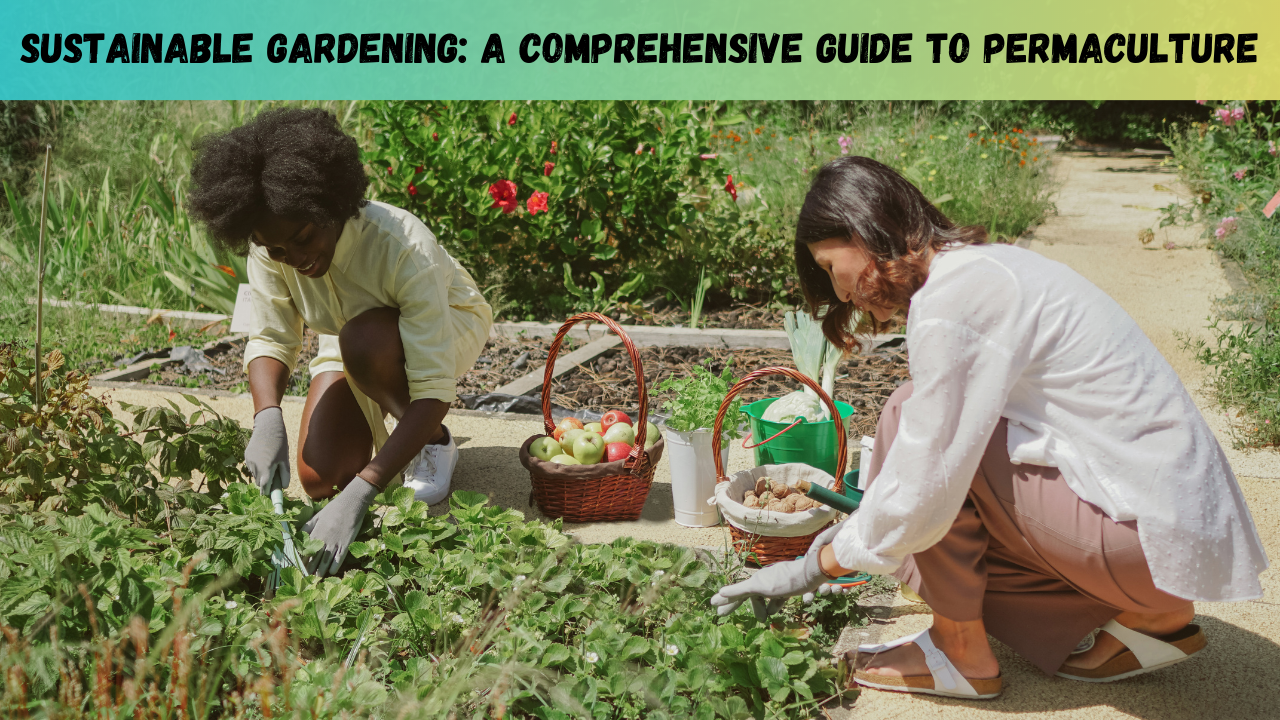 Sustainable Gardening: A Comprehensive Guide to Permaculture