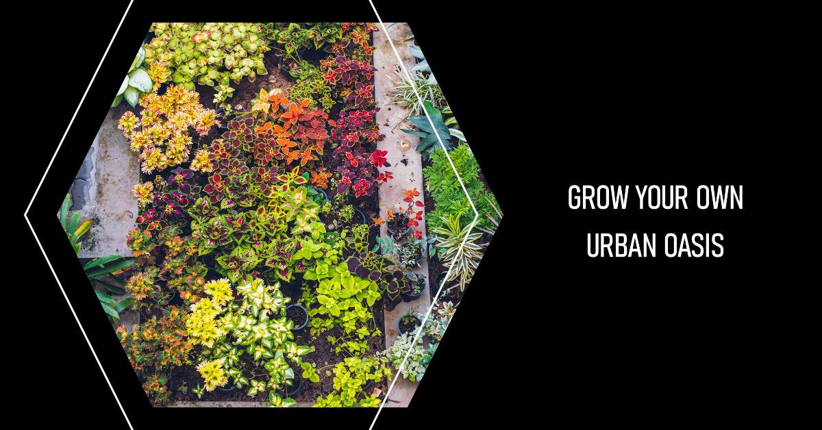 Urban Vertical Farming: Harvesting in Cities