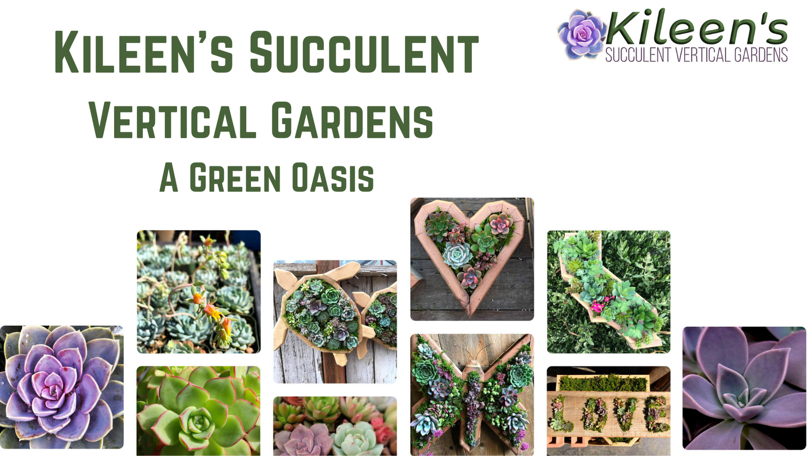 Kileen’s Succulent Vertical Gardens: A Green Oasis