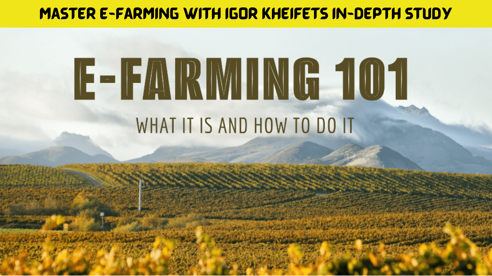 Master E-Farming with Igor Kheifets In-Depth Study