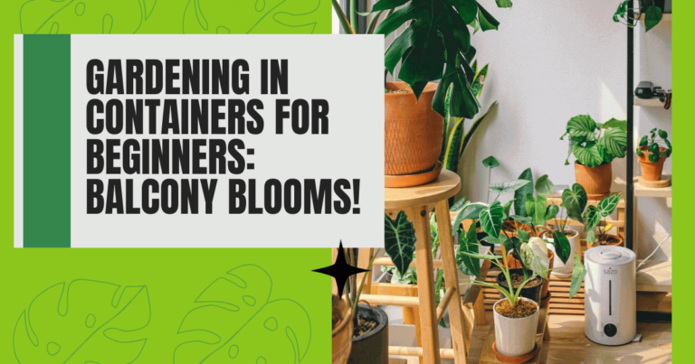 Gardening in Containers for Beginners: Balcony Blooms!