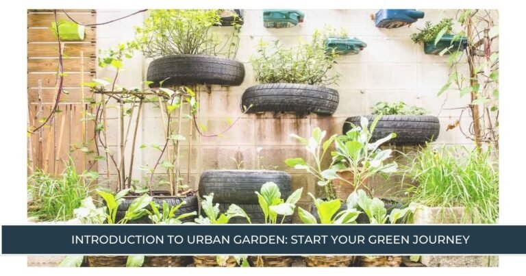 Explore Urban Garden Start Your Green Journey