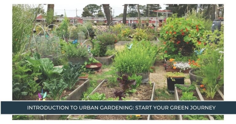 Introduction to Urban Gardening Start Your Green Journey